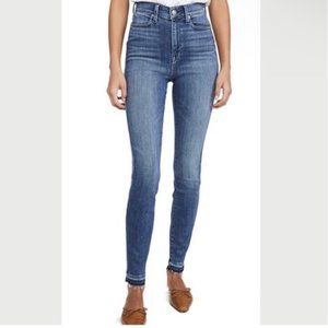 AYR High-Rise Skinny Jean in Medium Wash (27)